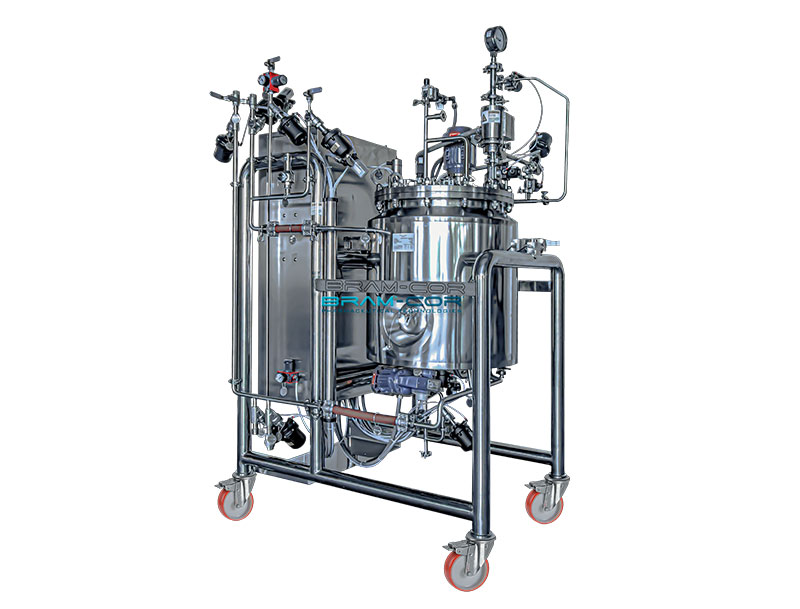 Mobile Vessel for pharmaceutical dispersions