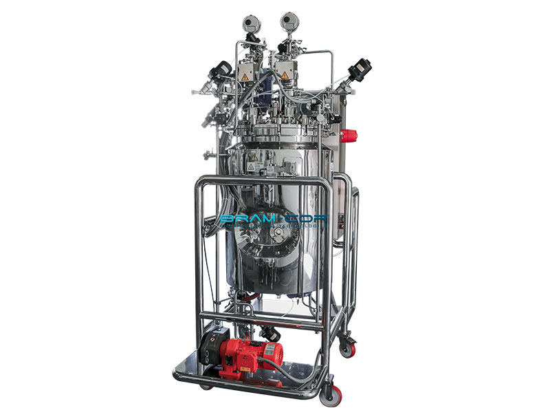 Bram-Cor Pharmaceutical Processing Equipment - Vessel for parenteral solutions